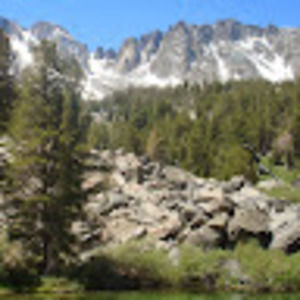 Meet your Posher, Vicki